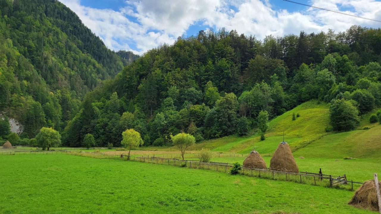 Vila Casablanca Podu Dimbovitei Exteriér fotografie